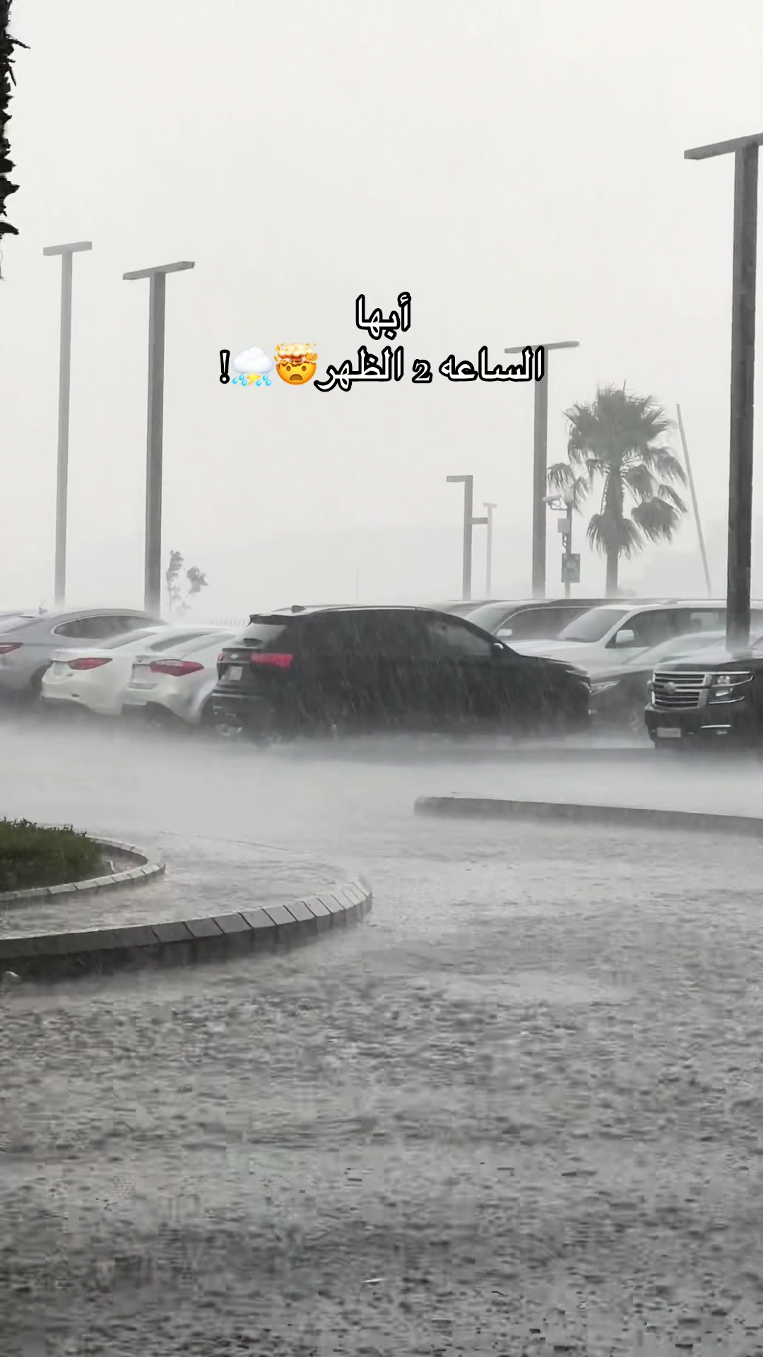 @𝐹𝑎𝑦 𝐵𝑙𝑜𝑔𝑔🌤️.