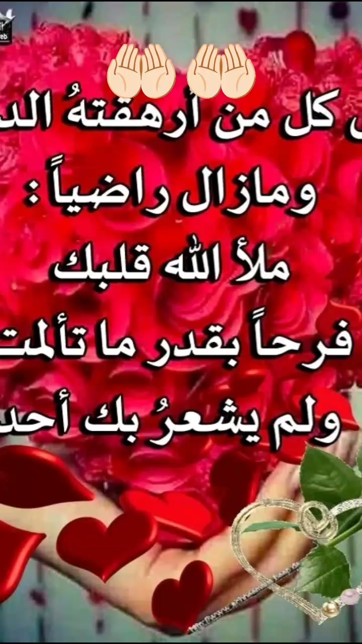 @الله أكبر🤍🤲