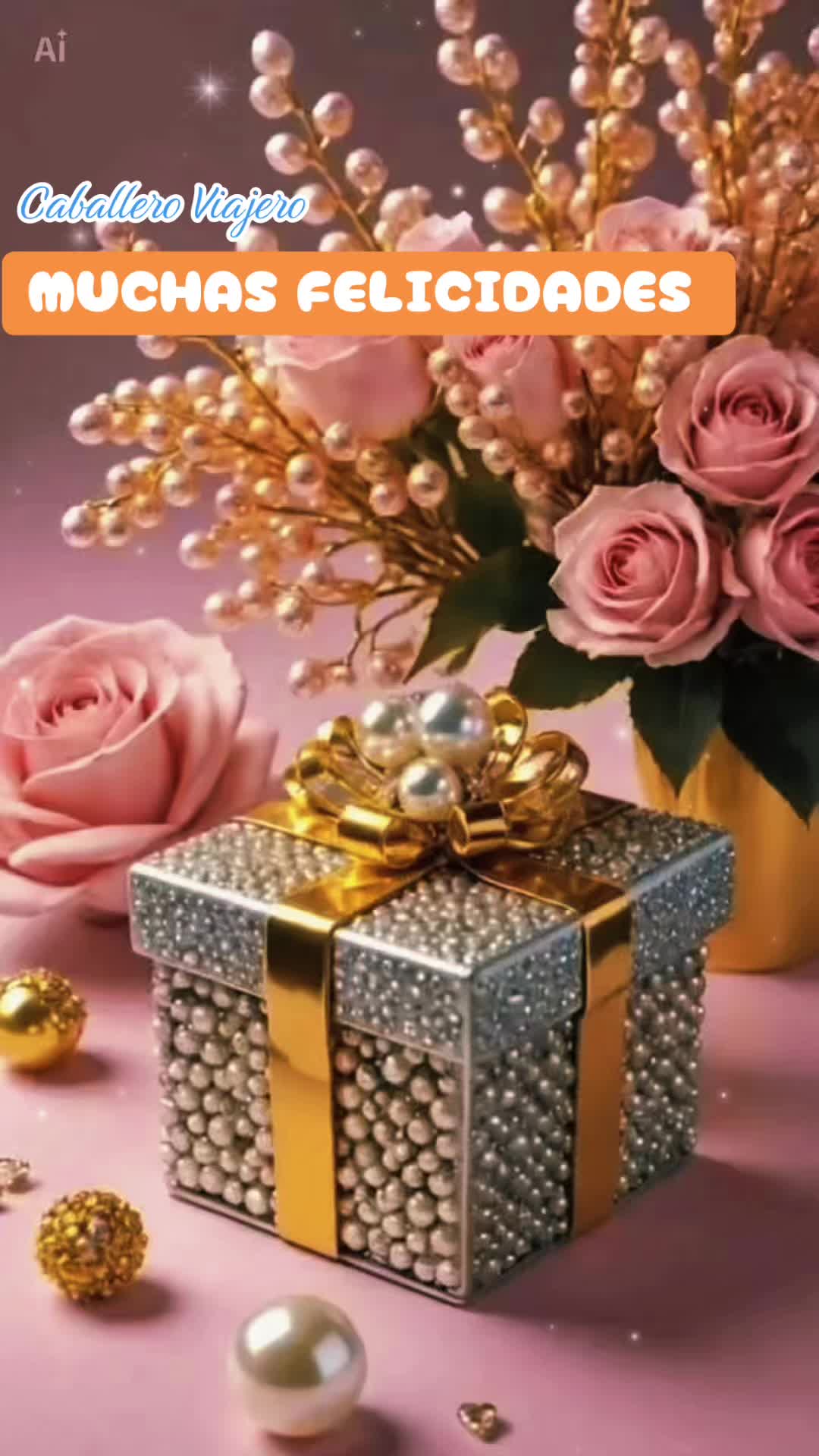 @caballeroviajero0317