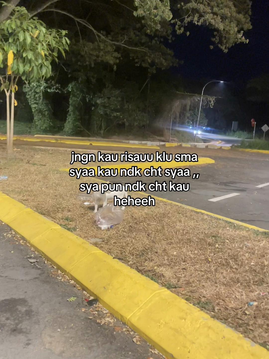 @hyper trukk🫦