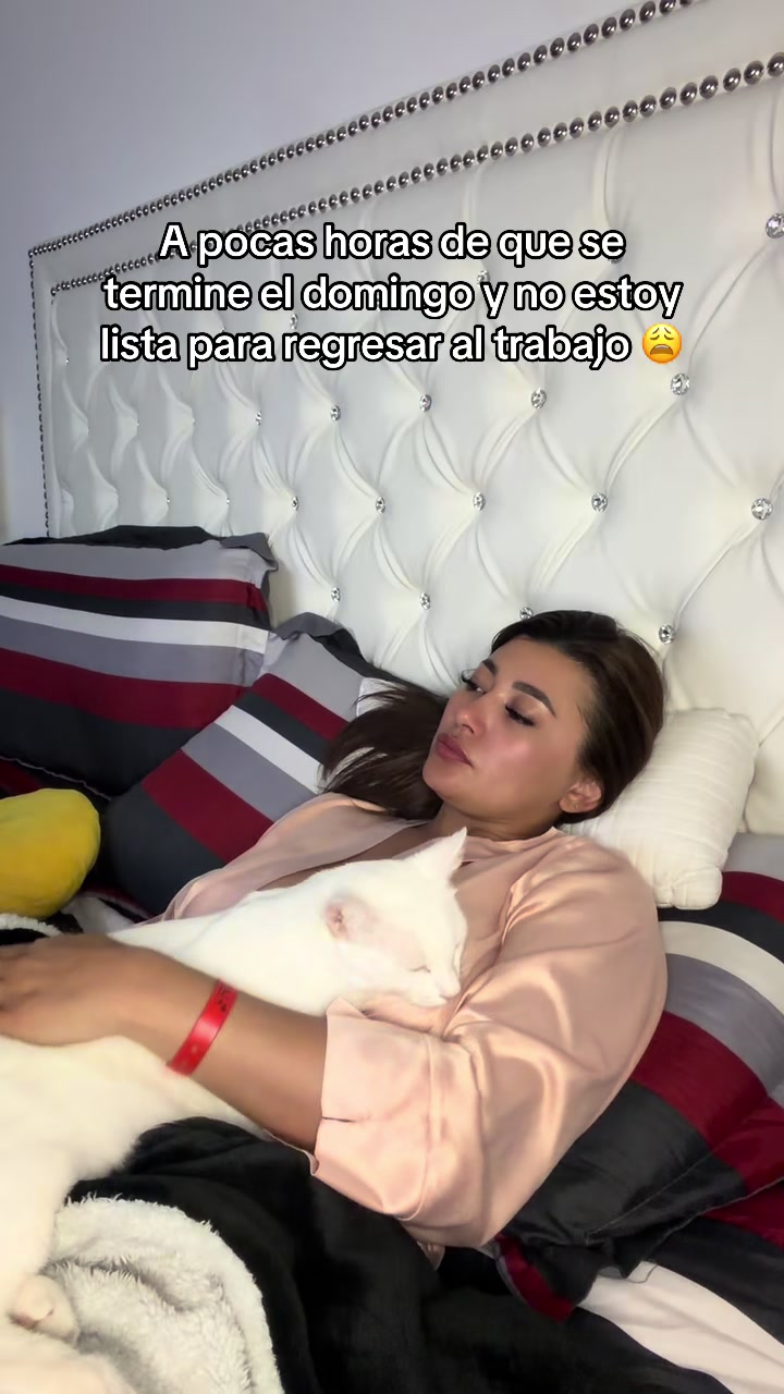 @milagrofloresoficial🐈🇭🇳👑
