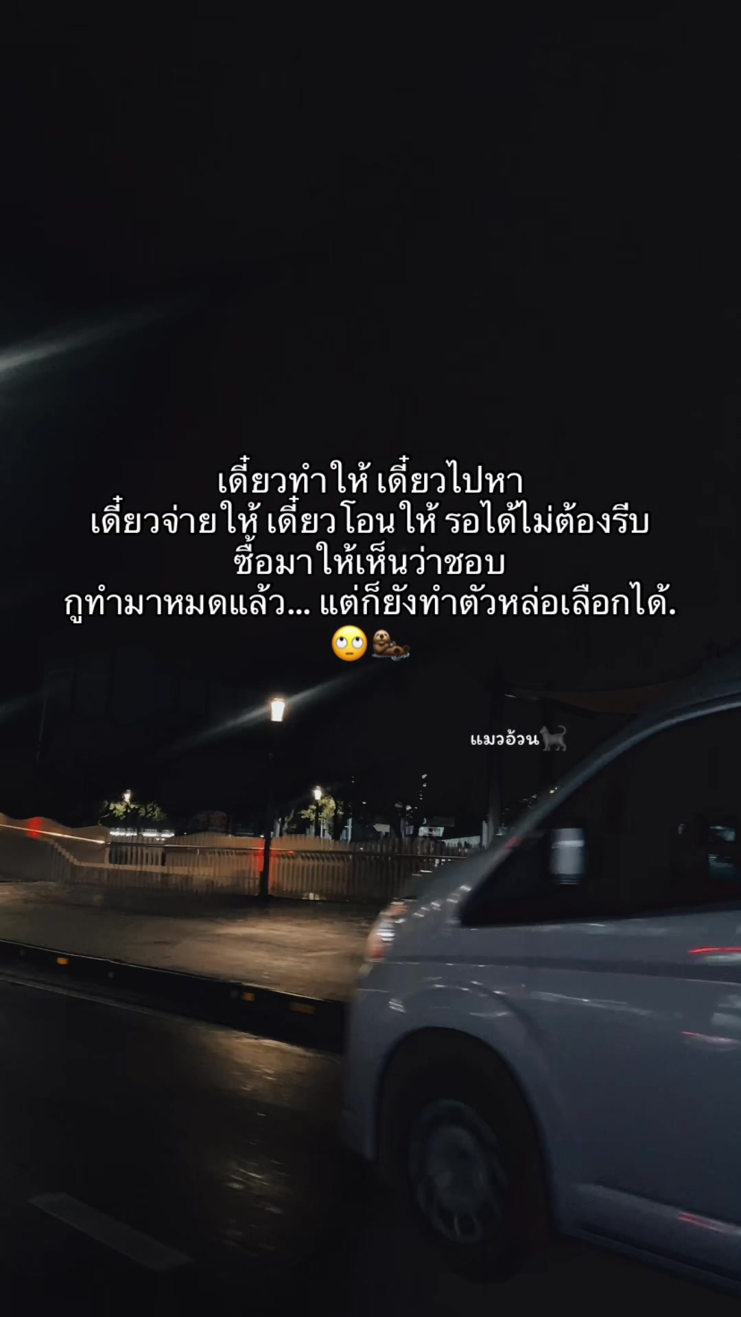 @แมวอ้วน🐈⬛