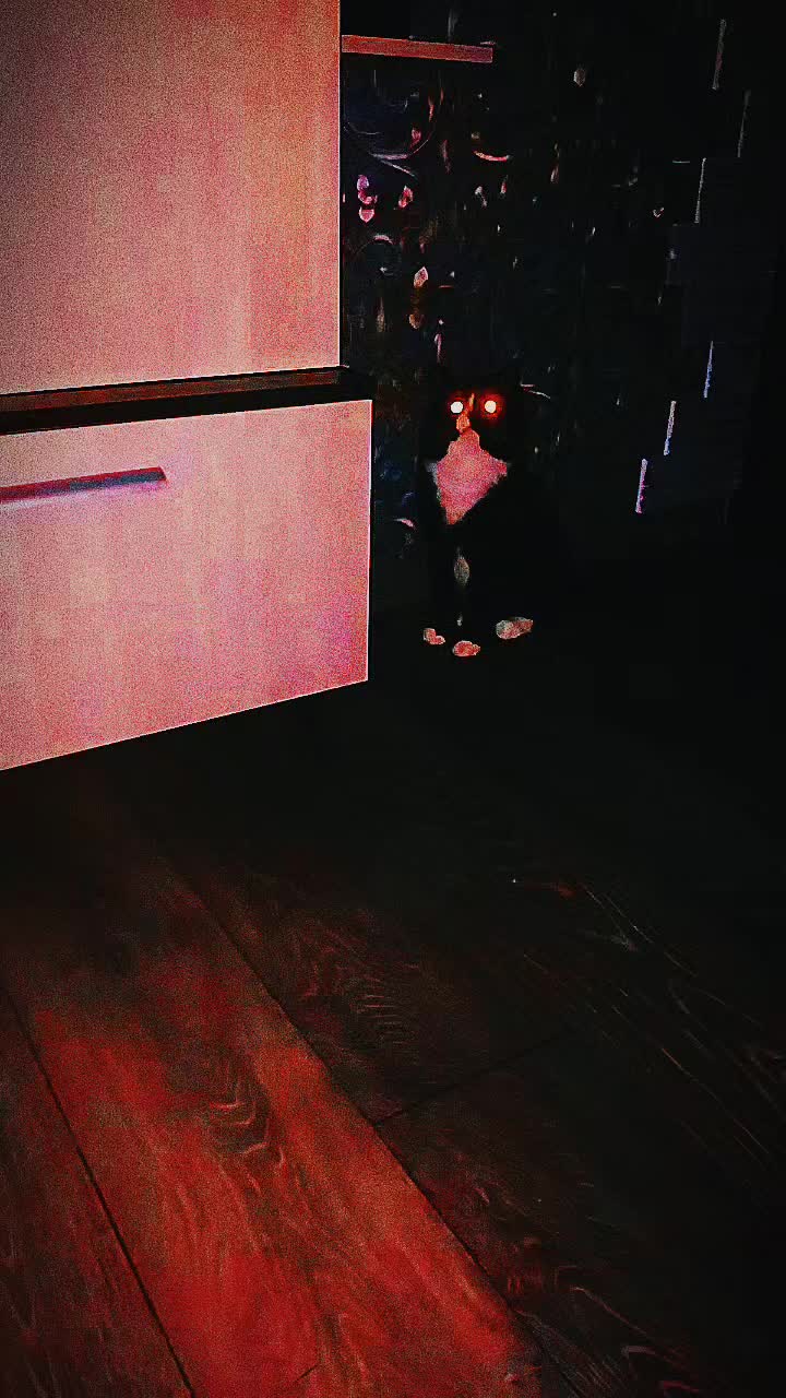 @лилац ∅ (котик хлыщ)