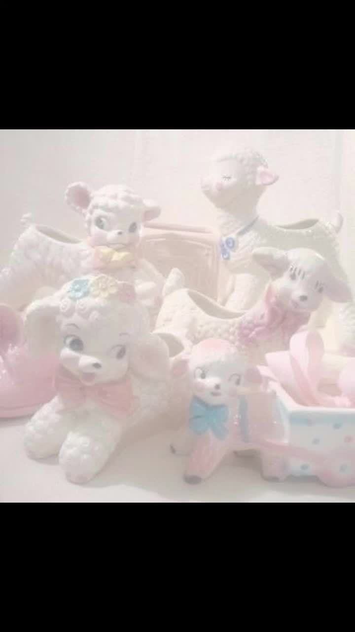 @𝐒𝐚𝐯𝐚𝐧𝐧𝐚𝐡