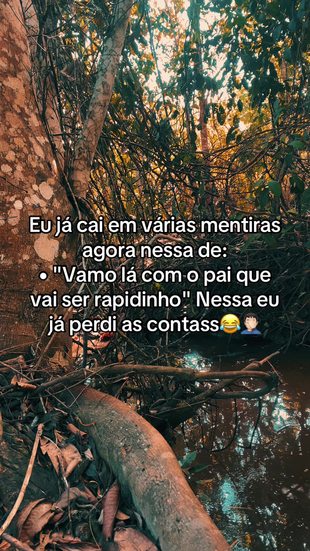 @📿K&Aacute;SSIO.agro𓃗🤠