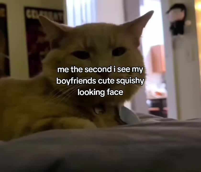 @adoringlady