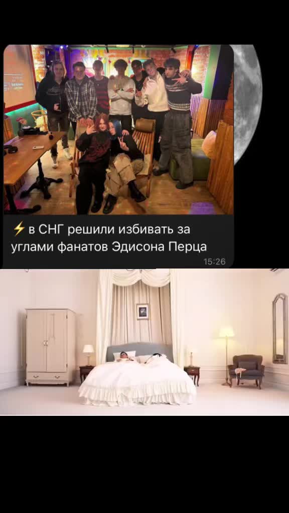 @(\ ⑅ /) ₊ волчонок! ⌒ . ✧