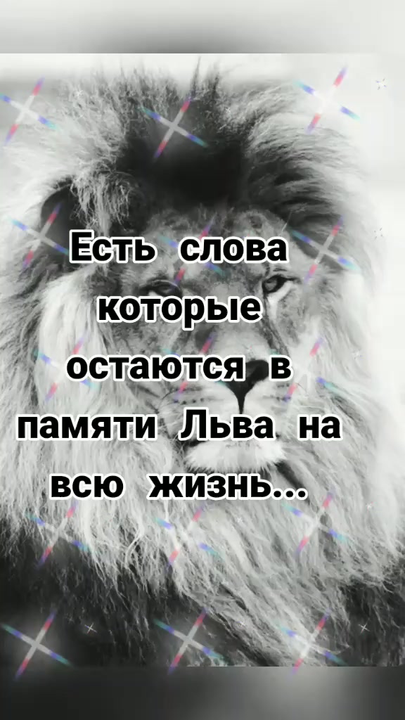@👑 🦁 KING LION🦁👑