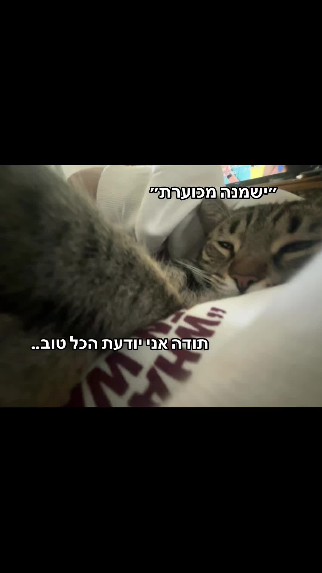 @๐ฆ