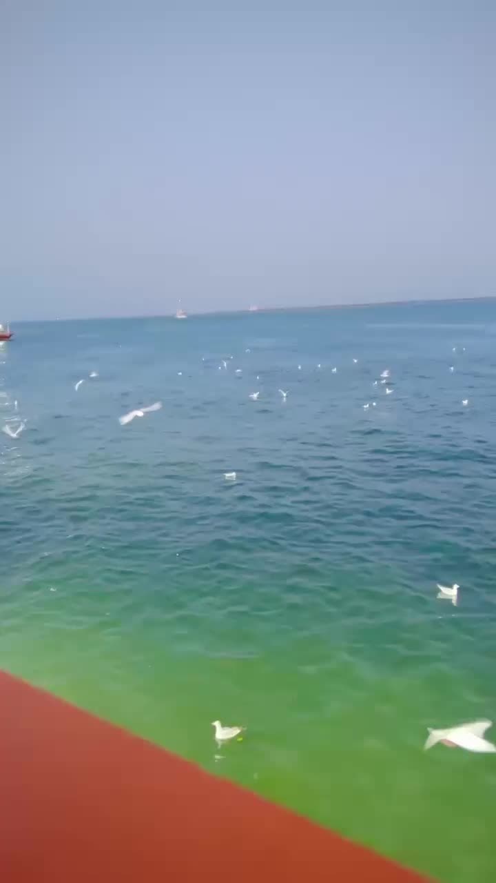@مصور خان نیازی 🔥🙌🏻