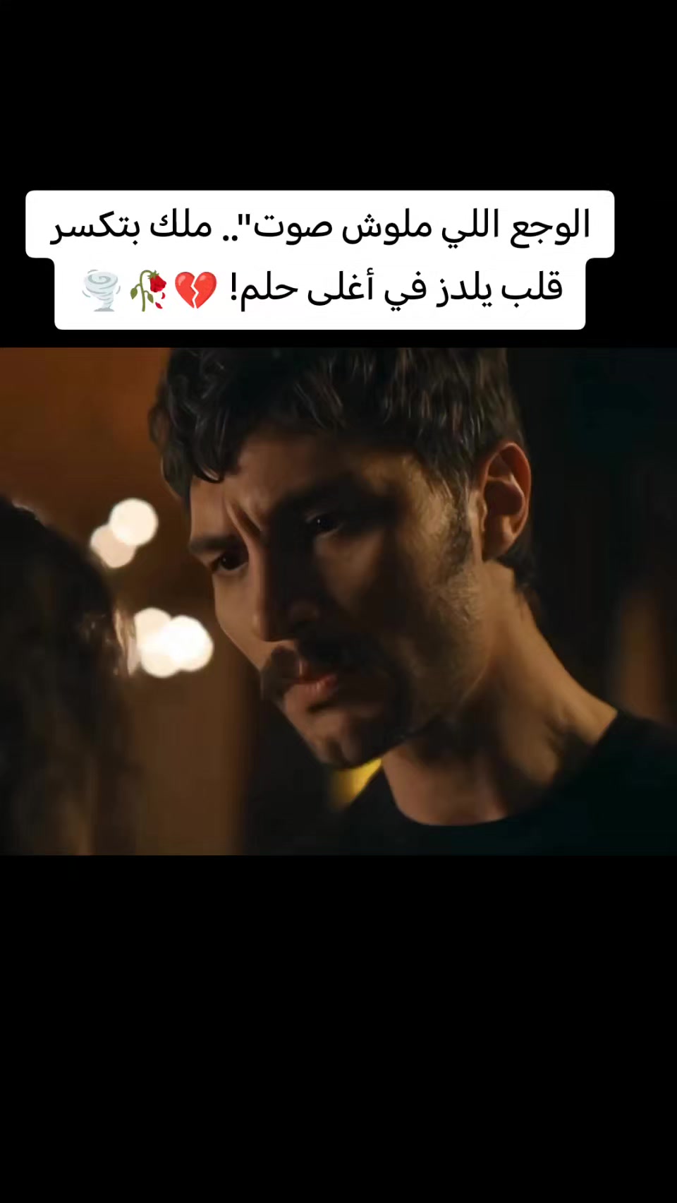 @butterfly