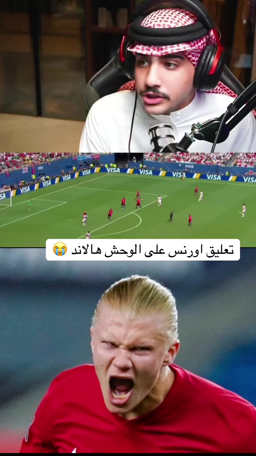 @ديلايت كوم