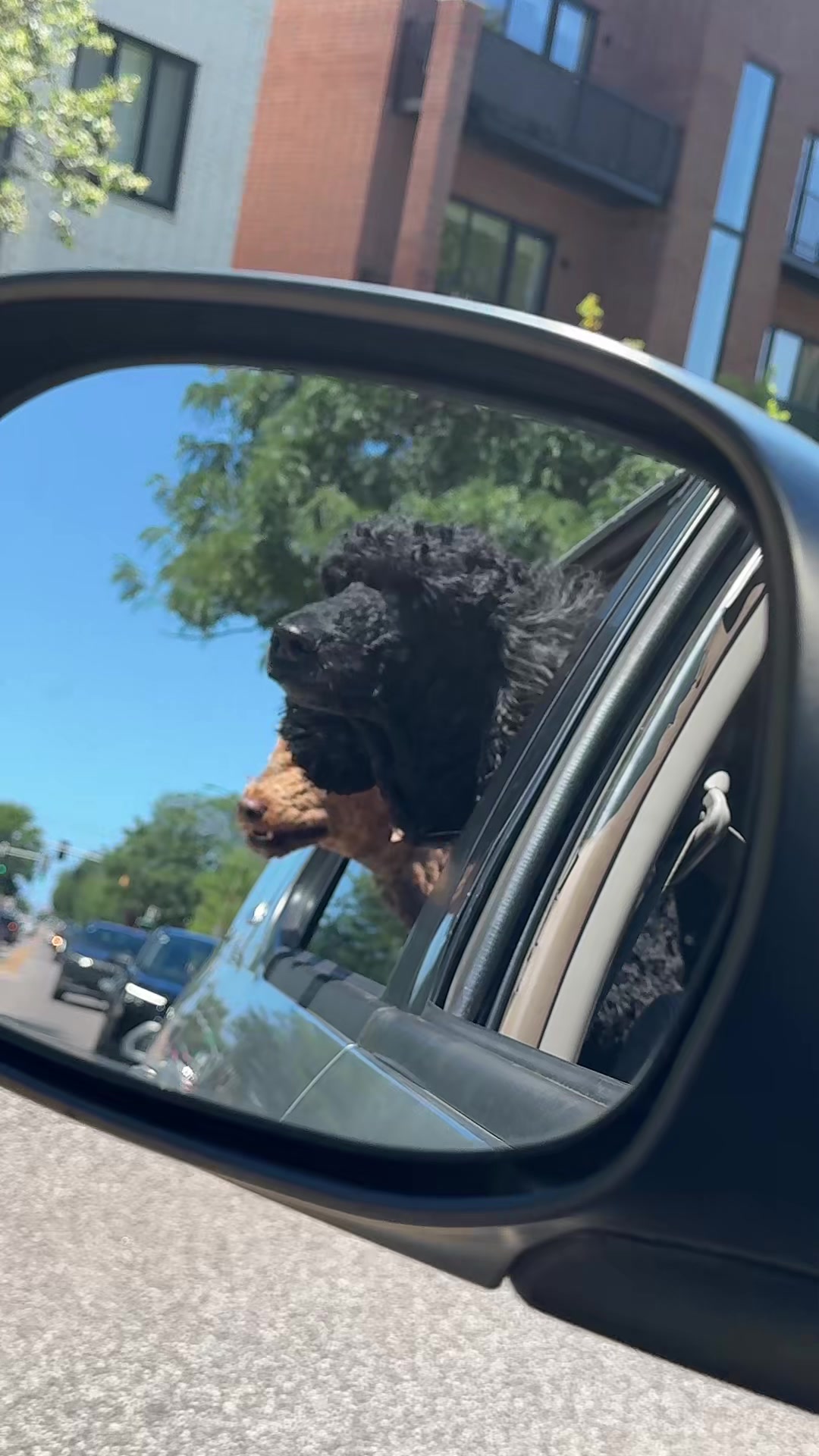 @packwalkdiaries