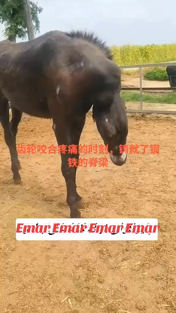 @Emar