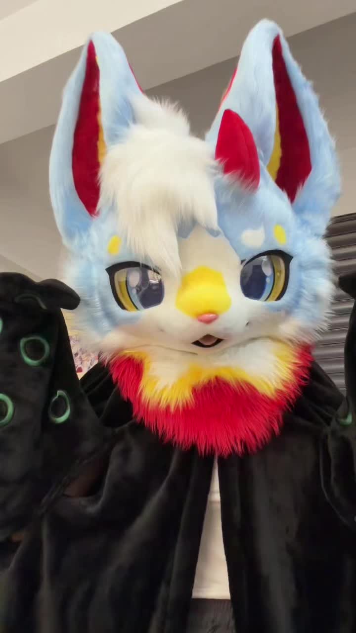 @是狸是狸
