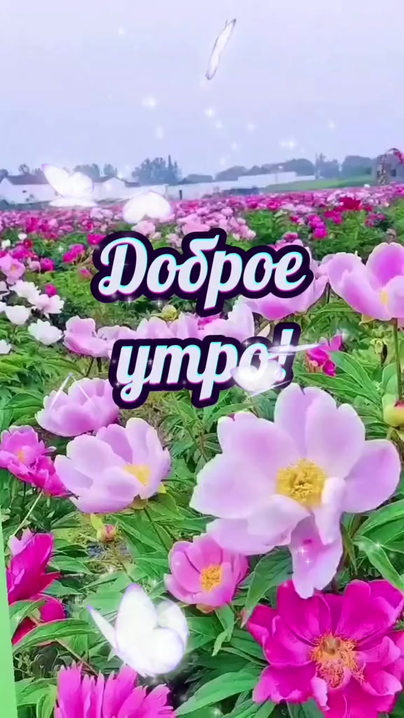 @ИРИНА