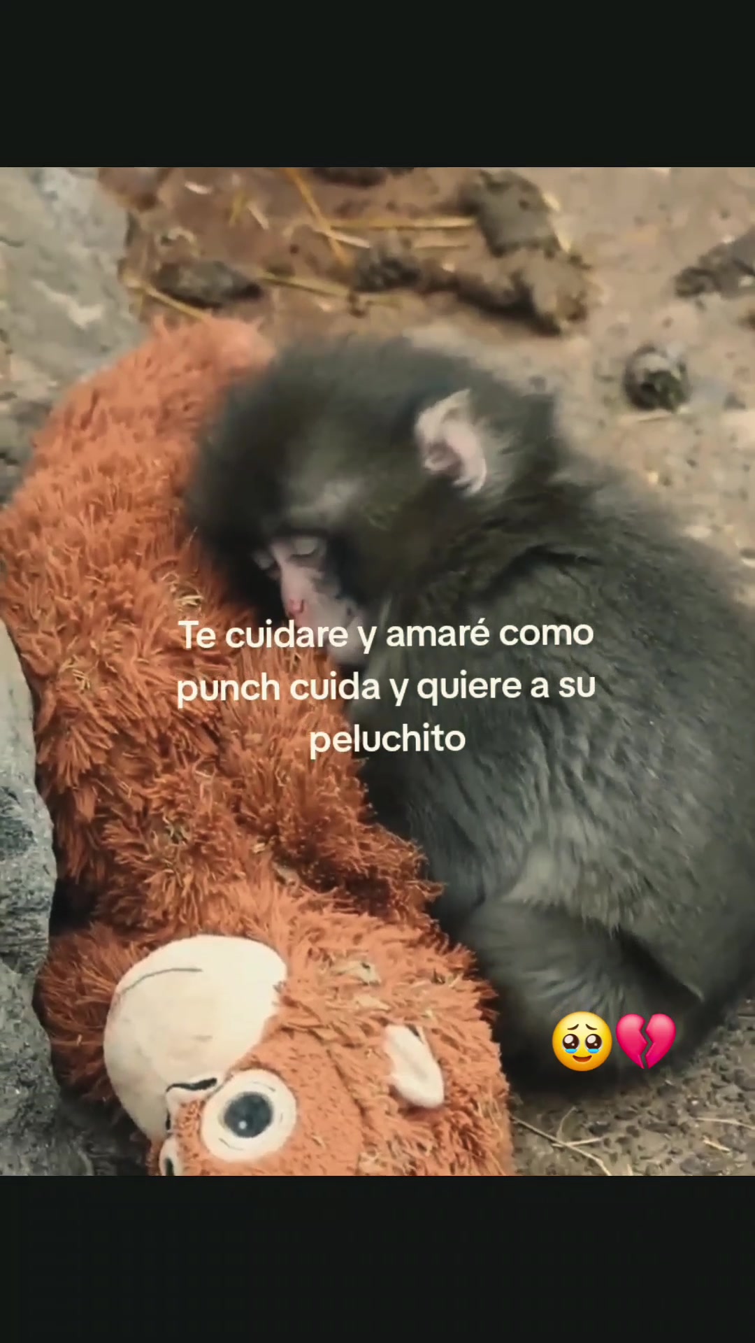 @perez01