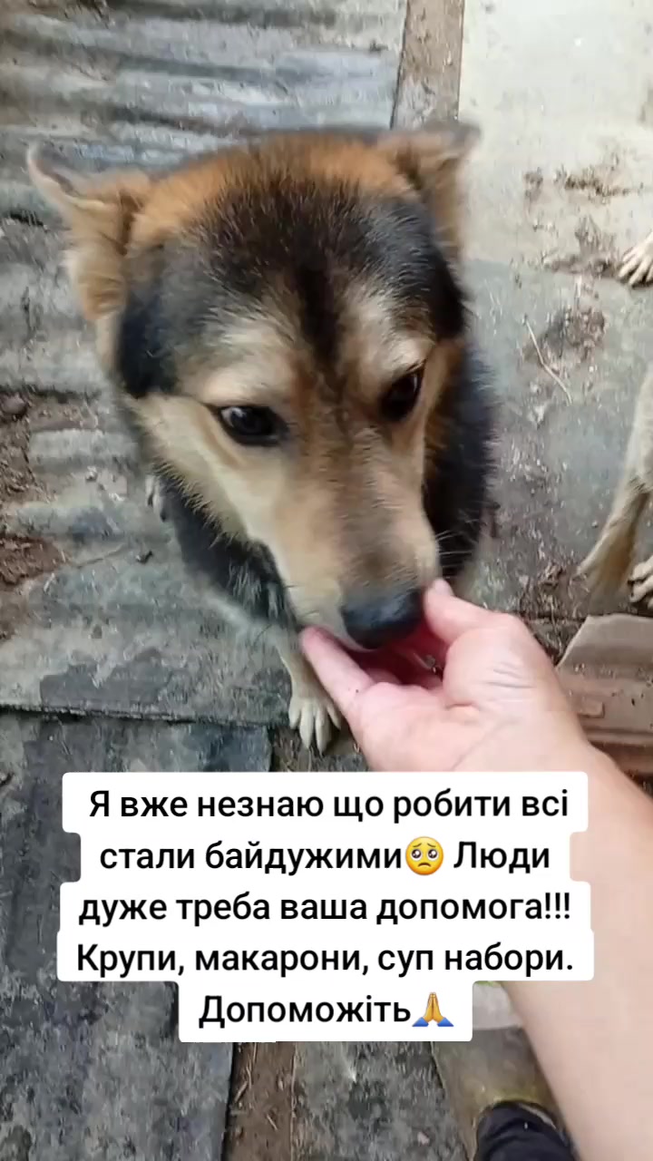 @tvarinkidobra