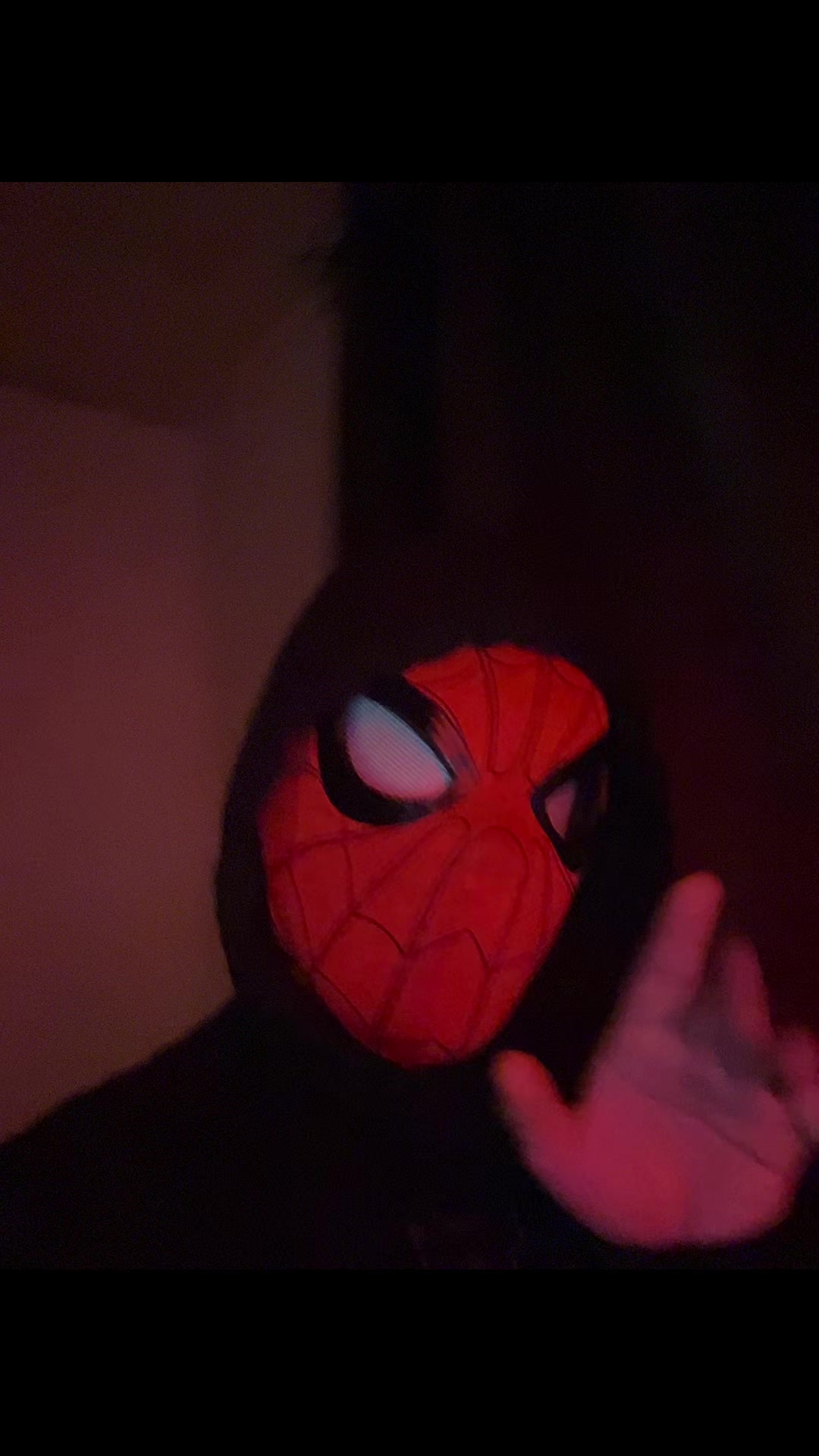 @Spider_belico