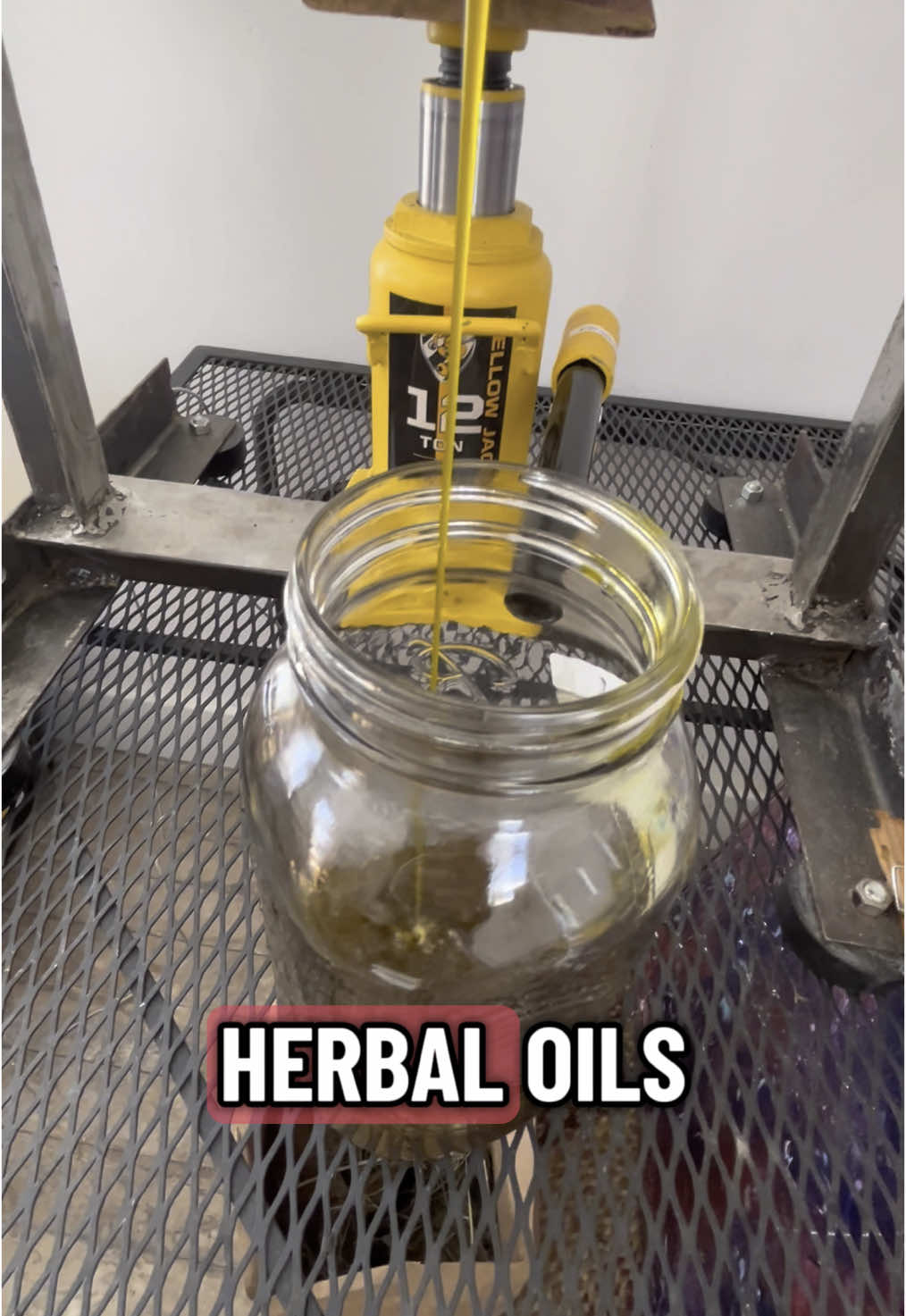@Ancient herbals