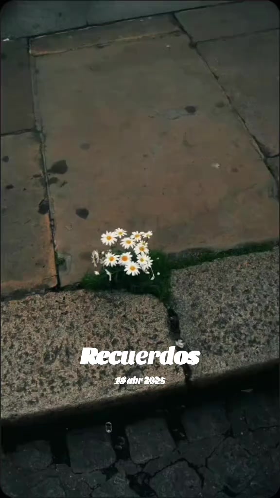 @🎀𓍯Santta𓍯🎀