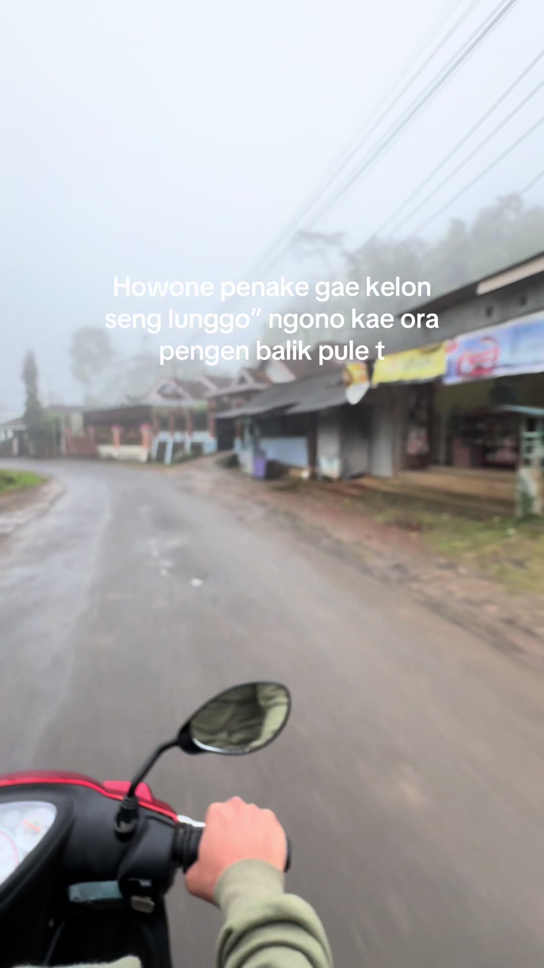 @๐ธ๐๐๐๐๐๐หหหโกหหห