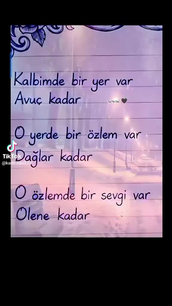 @Zeynep 17