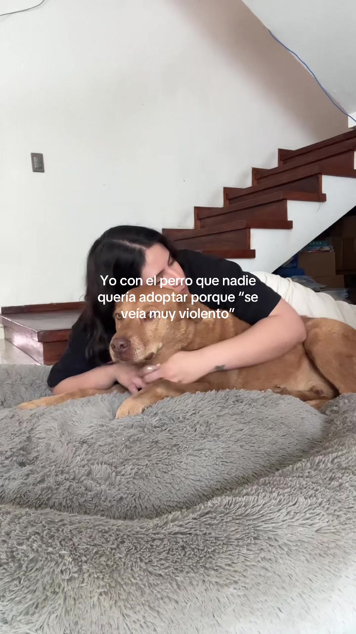 @dulceorozcoa ✨