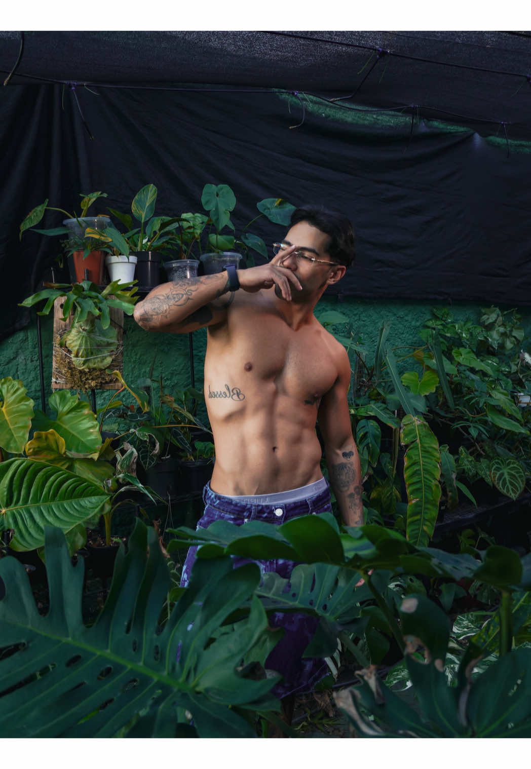 @Otávio Pichirillo