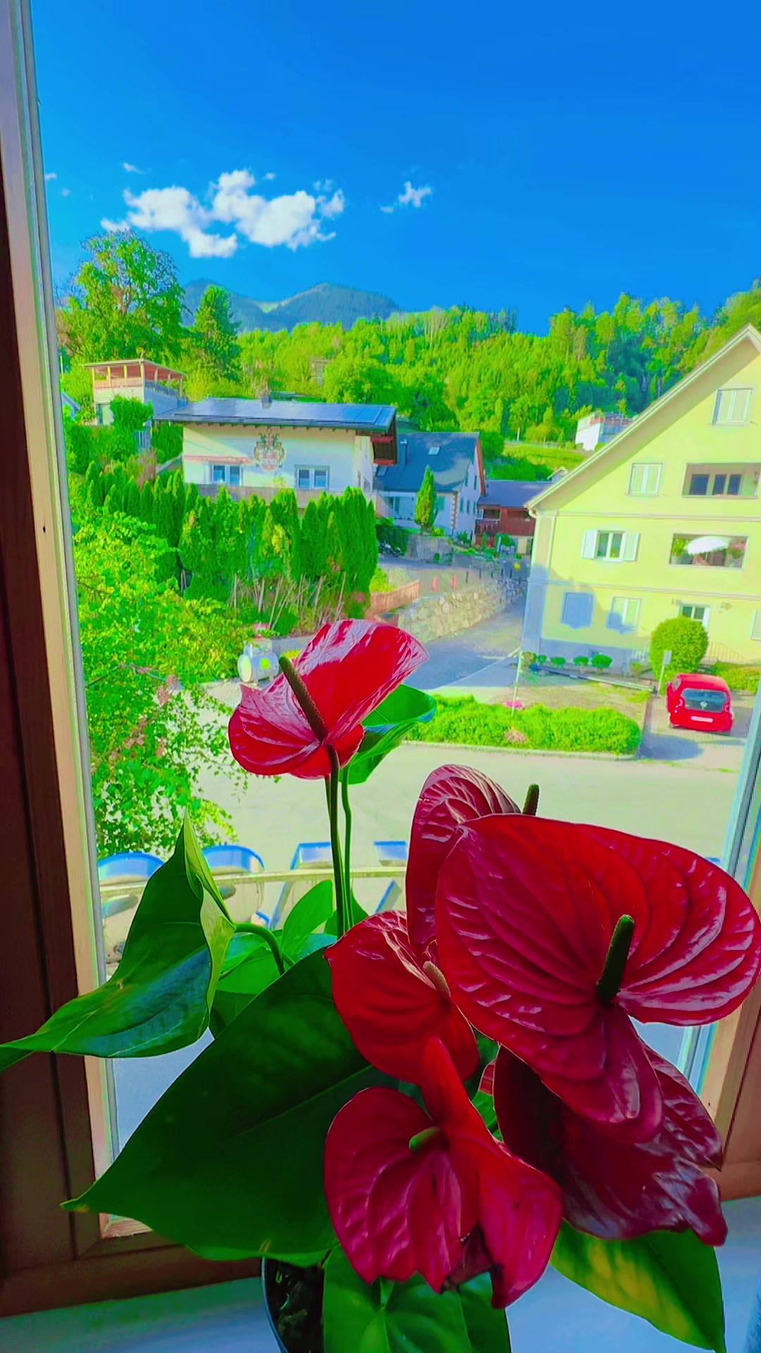 @⭐🧿🦋سنيوريتا أم اللول👑🦋