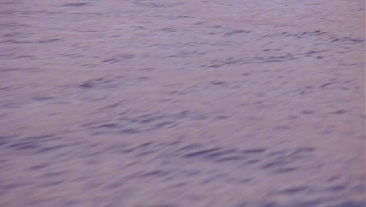 @𝙃𝙖𝙧𝙙𝙖𝙨𝙨