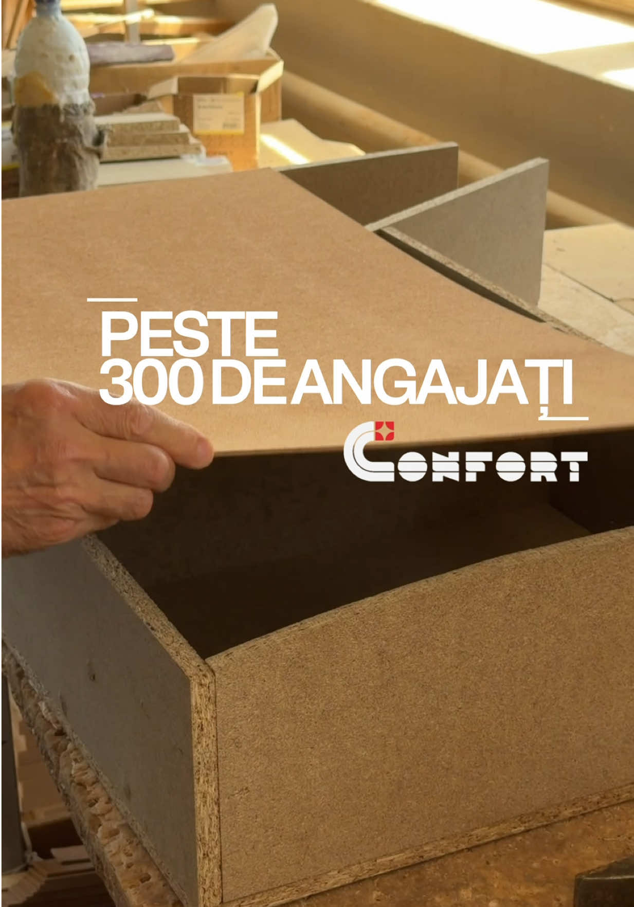 @Fabrica de Mobilă Confort