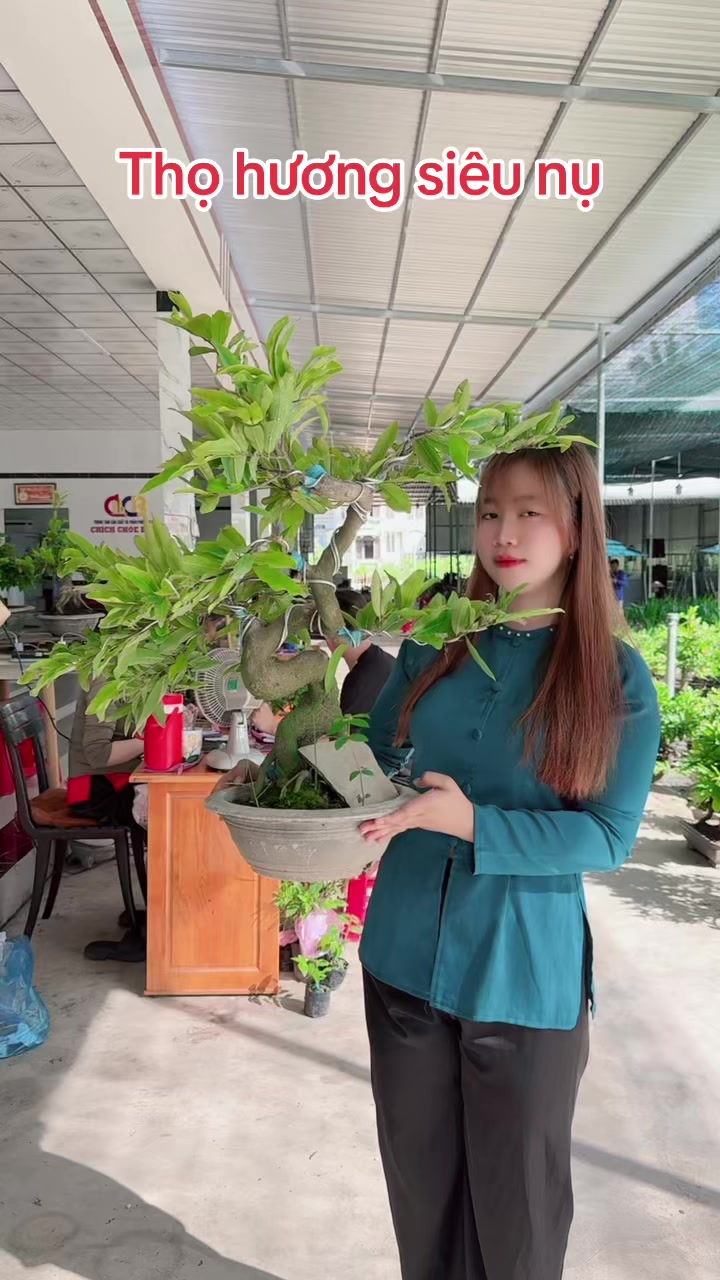 @Chichchoebong79