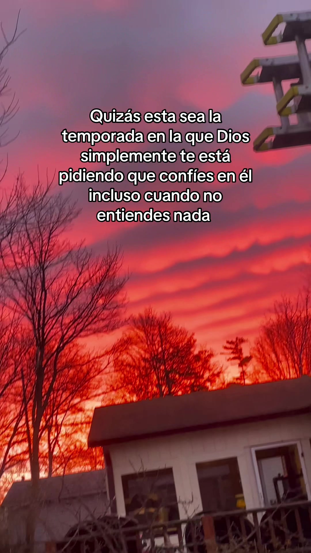 @lu_rodriguez__22