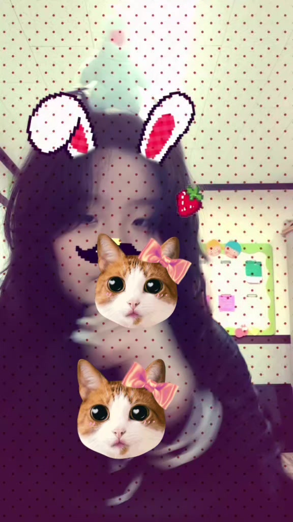 @๐ฆโโฎโ๐๐--๐๐๐๐๐๐ฆโโฎโเฟ