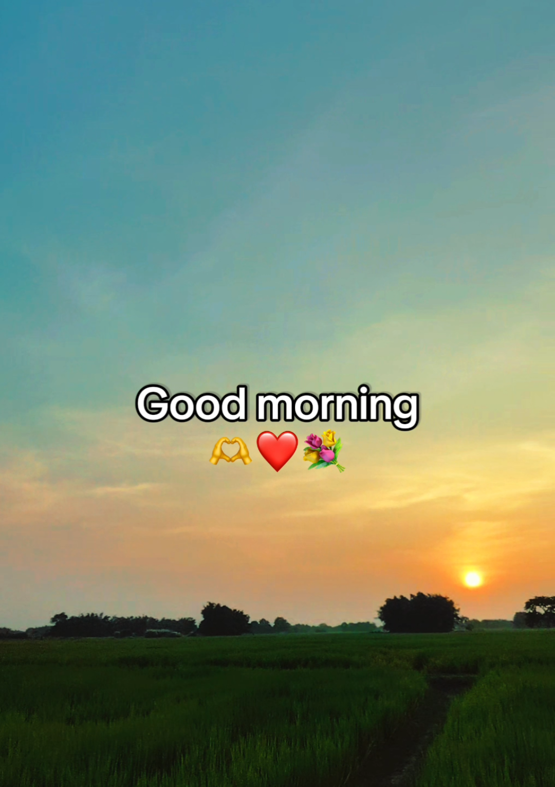 @𝖬𝗋 𝖯ɪɴᴛᴜ♡