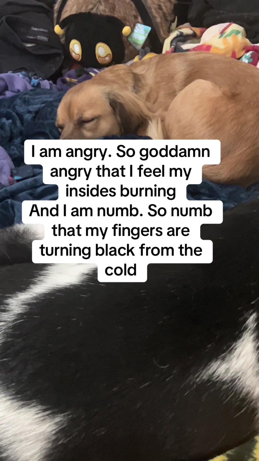 @Jynxtheservicemutt