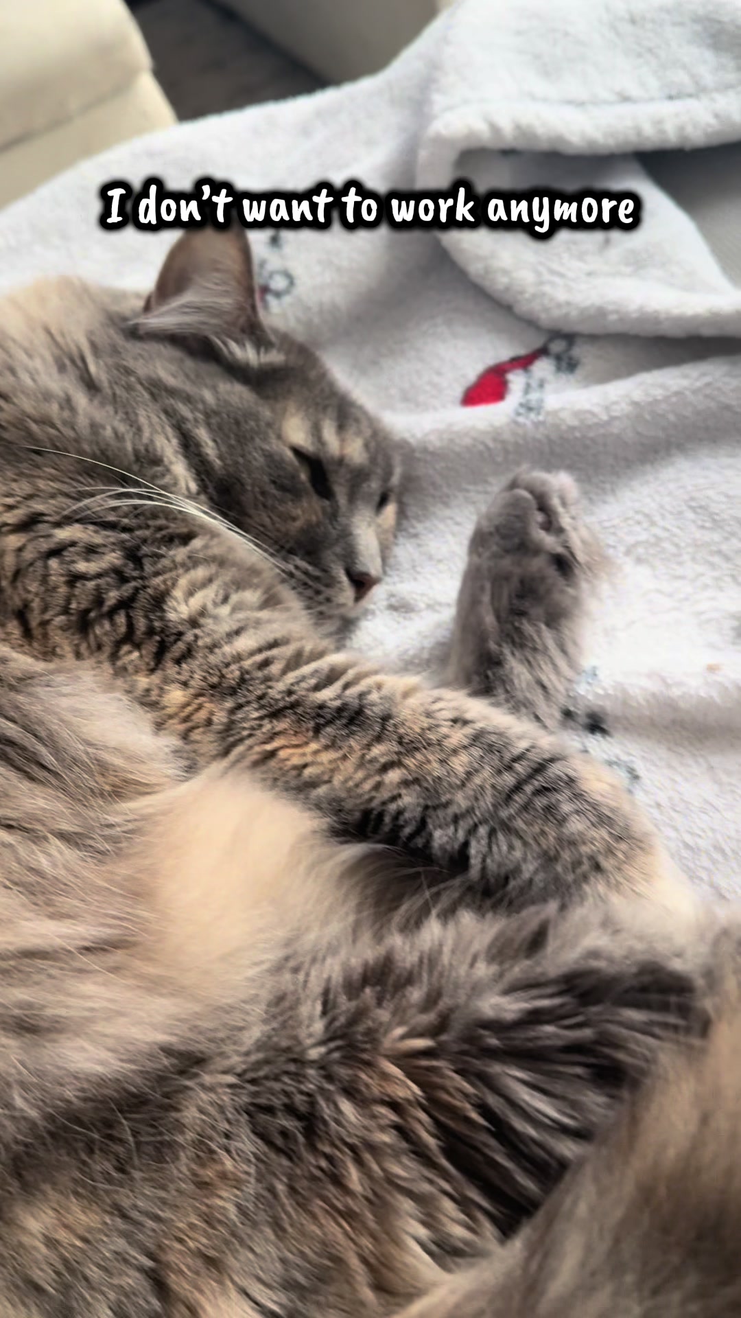 @TailsandWhiskersCo