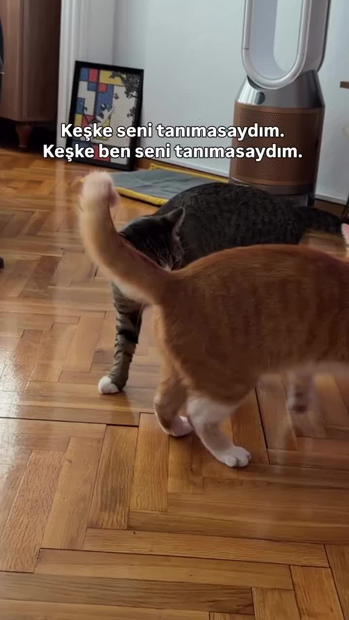 @Yumor_Time95