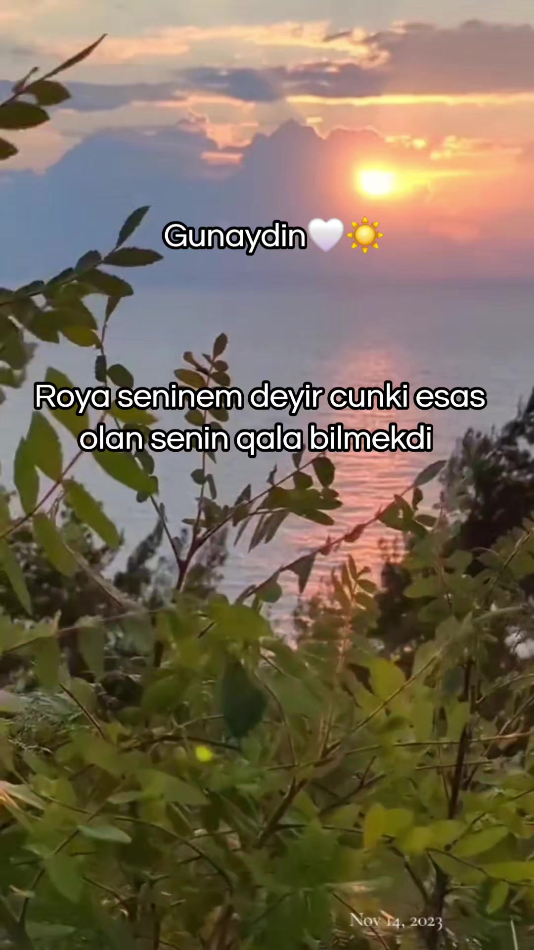 @๐๐๐๐ซ๐๐๐๐