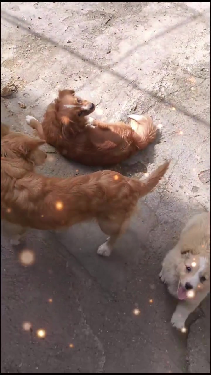 @꧁࿇乃丨ㄚ丨Ҝㄥ丨࿇꧂