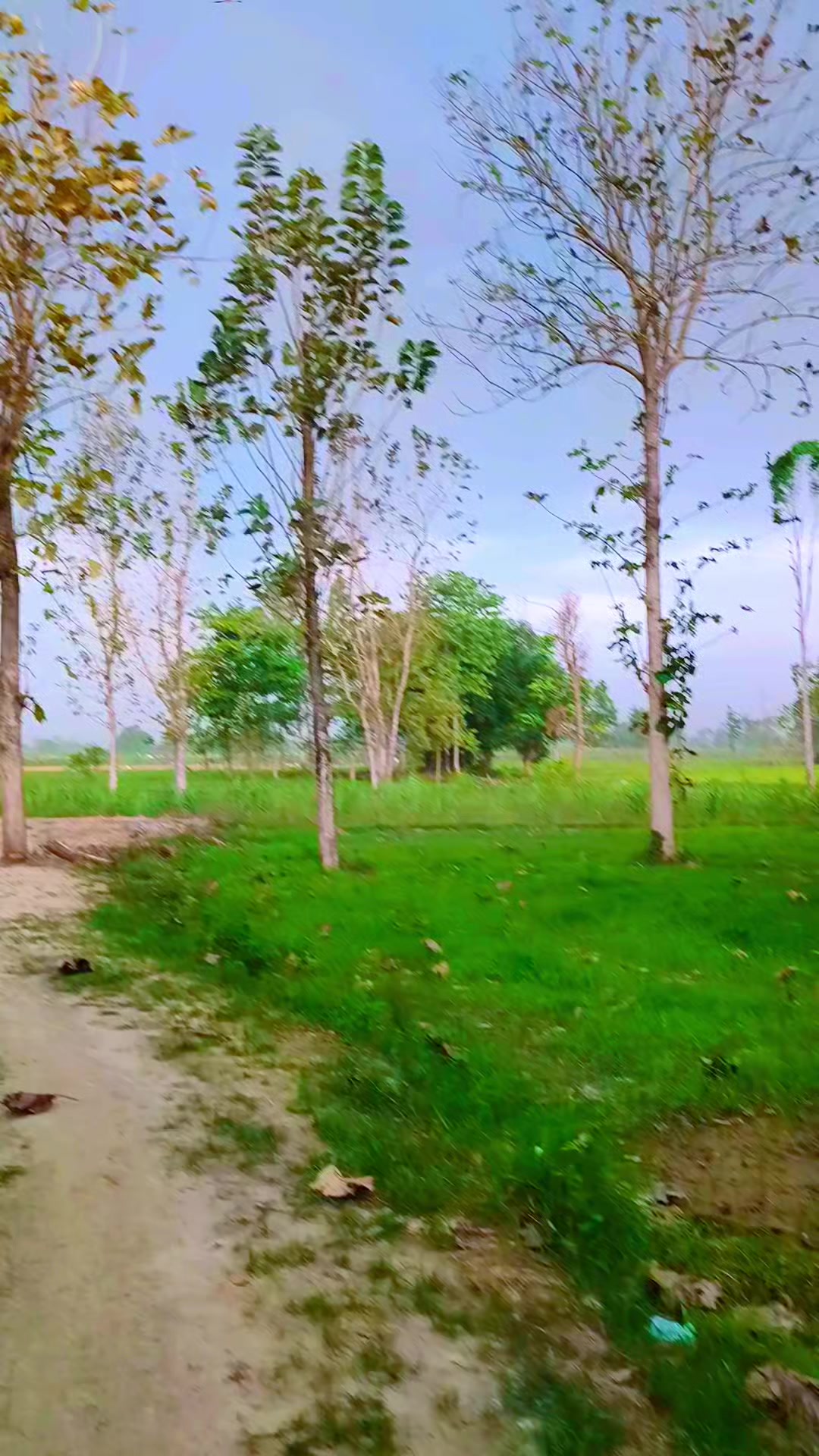 @Yadavchandan