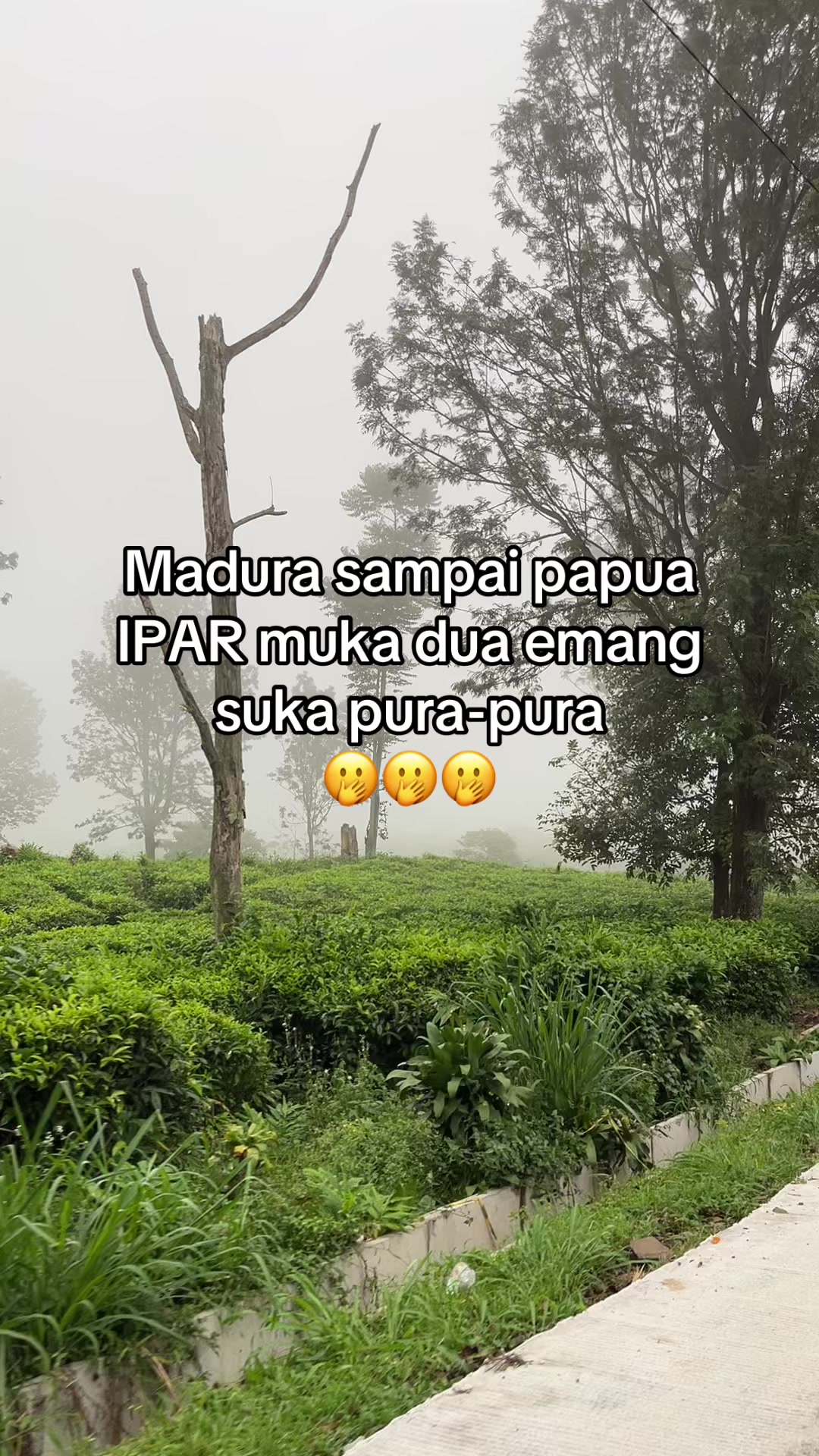@Syyyjul
