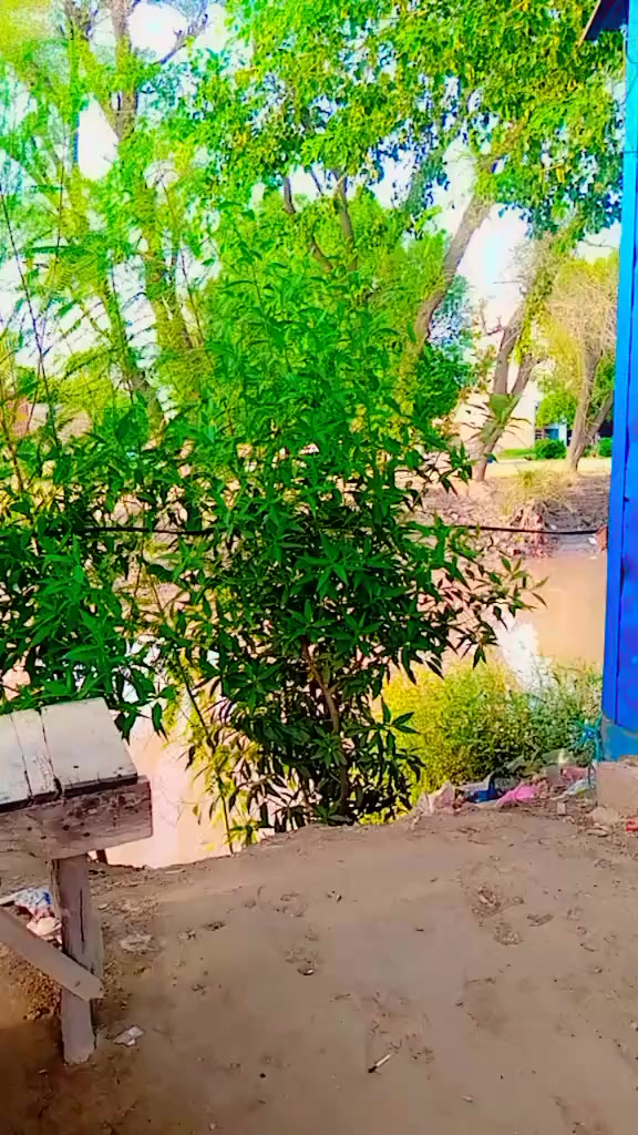 @Tanveer 0055