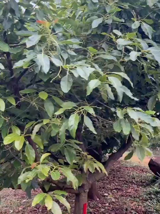 @FarmersTrend