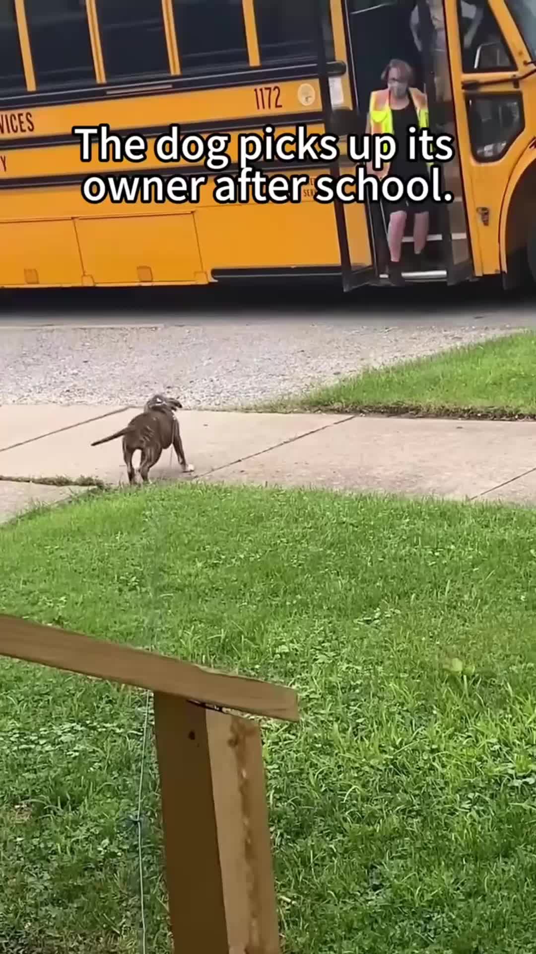 @funnyp87