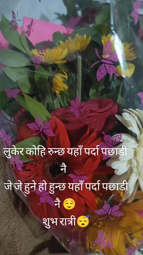 @नेपाल कि छोरी नारायणी नेपाल