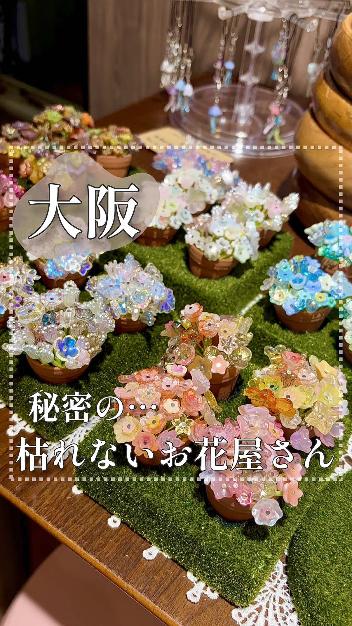 @関西旅行studio