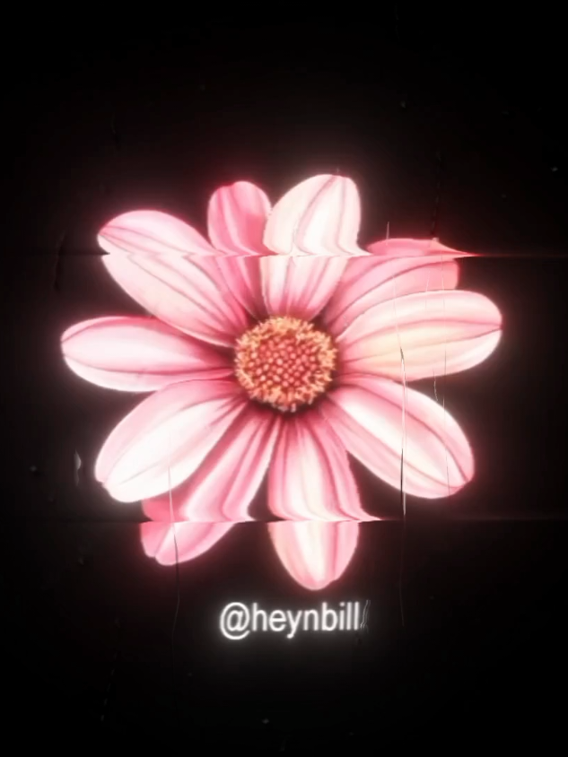 @𝐲𝐨𝐮𝐫𝐬𝐨𝐧𝐠𝐬.♬
