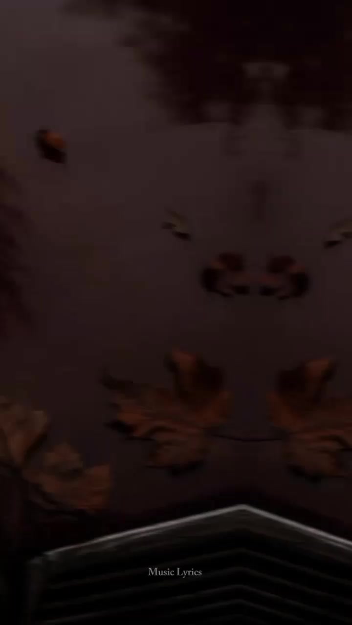 @ᴍᴜꜱɪᴄ ʟʏʀɪᴄꜱ